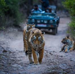 Delhi Tour